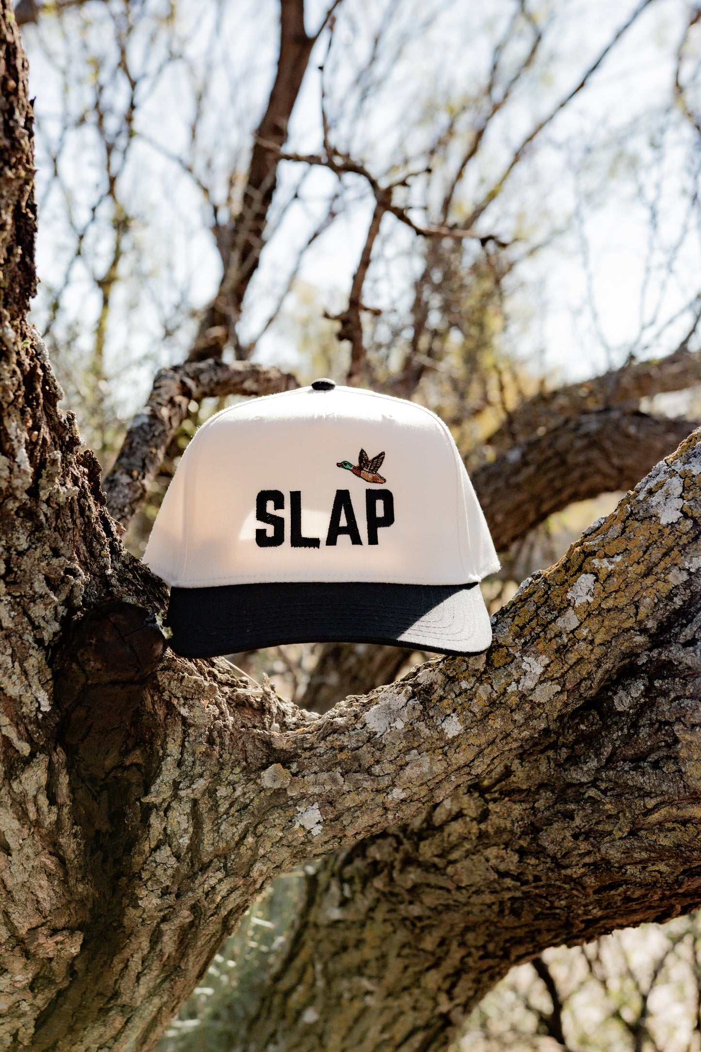 The Lady Slap — Duck Edition