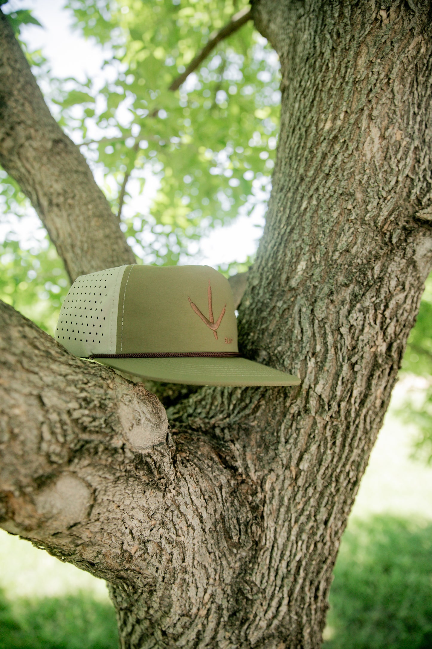 The Trackdown – Olive Edition