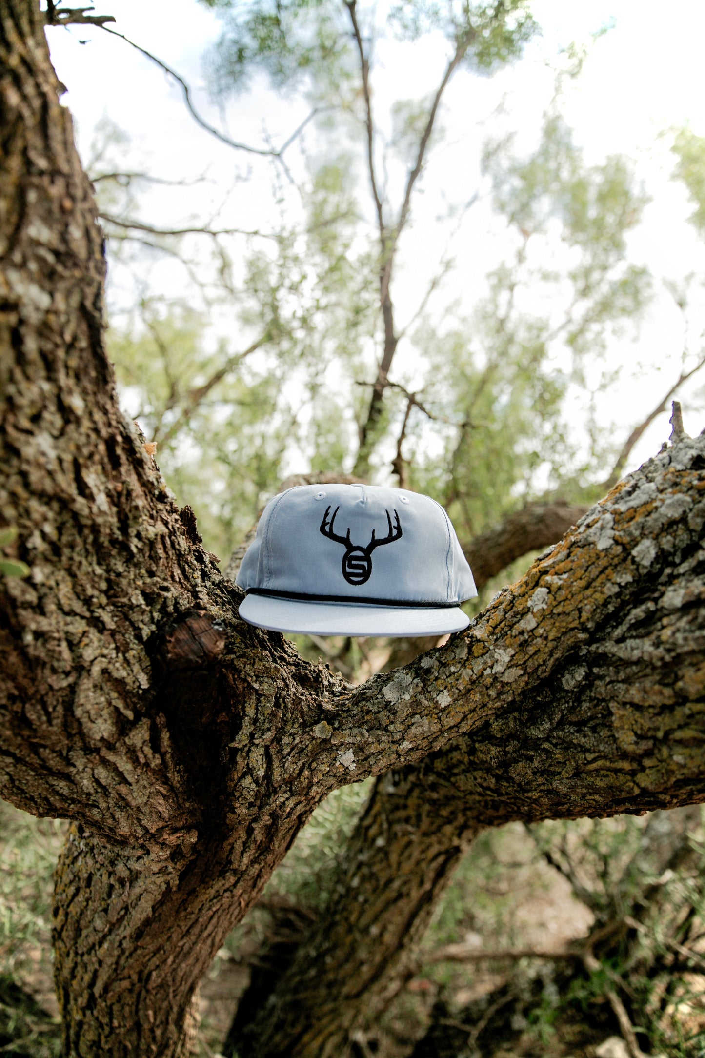 The Slap Buck