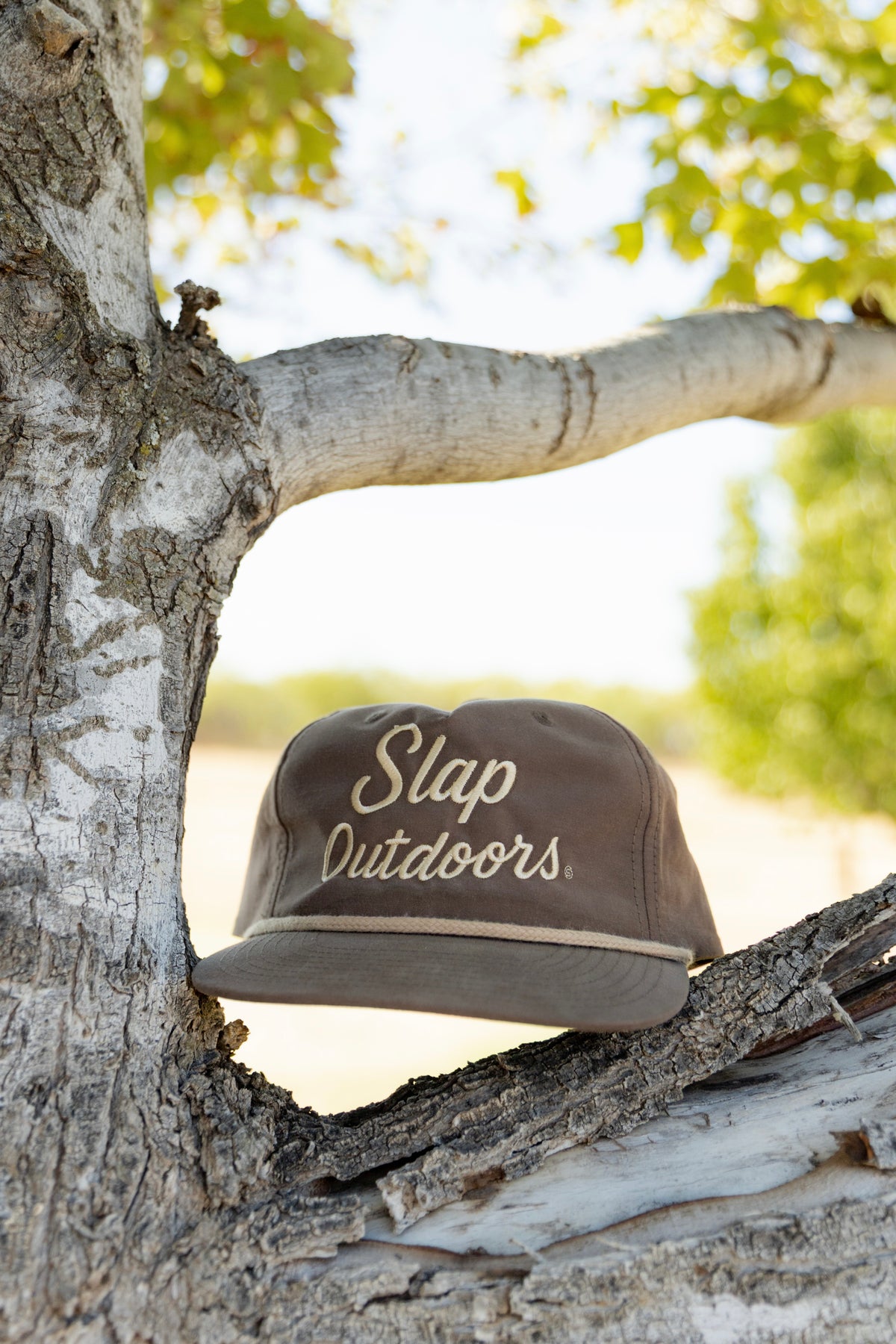 Slap Script Brown
