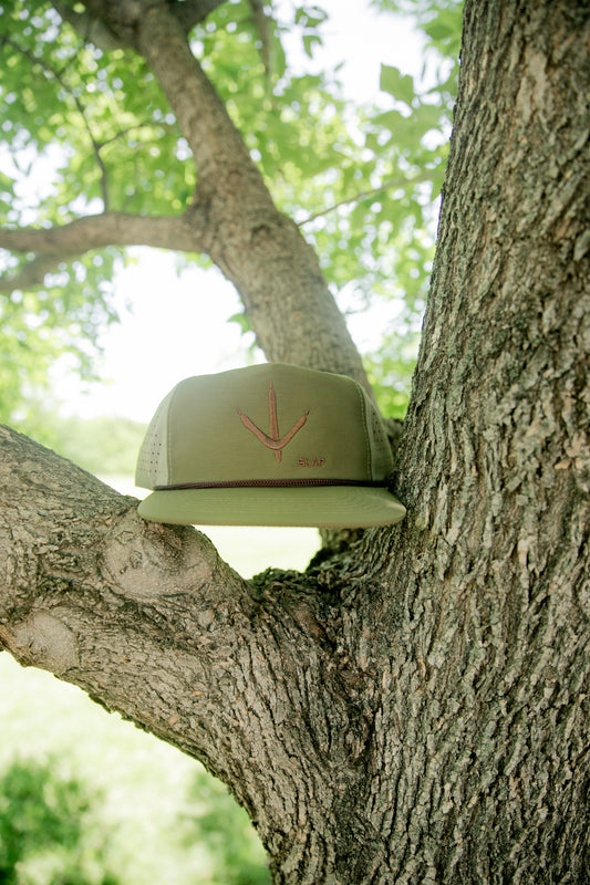 The Trackdown – Olive Edition